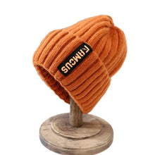 Load image into Gallery viewer, New Long Label Knit Beanie Soft Sun Protection Winter Hat Solid Color Crochet Design Crochet Hat Winter Season