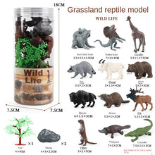 Load image into Gallery viewer, Mini Marine Life Model Set Wildlife Farm Poultry Model Simulation Solid Dinosaur Model Children's Teaching Cognitive Toys
