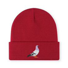 Load image into Gallery viewer, 1pc'pigeon' Embroidered Beanie Soft Stretchy Lightweight Winter Hat for Men & Women, Outdoor Hip Hop Fashion