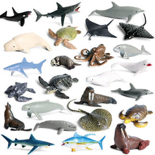 Load image into Gallery viewer, Sea Life Animals Dolphin Crab Shark Turtle Model Action Figures Ocean Marine Aquarium Miniature Cognition Education Toy for Kids