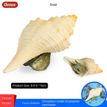 Load image into Gallery viewer, Conch Marine Life Model Children's Science and Education Cognitive Learning Toys