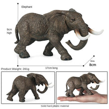 Load image into Gallery viewer, Wild Animal Model Toys Decoration Solid Tiger Lion Hippo Rhinoceros Elephant Panda Cow Set Children's Toy