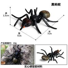 Load image into Gallery viewer, Simulated Insect Animal Figurine Model Spider Grasshopper Butterfly Snail Action Figure Scene Decoration Kids Collect Toys Gifts