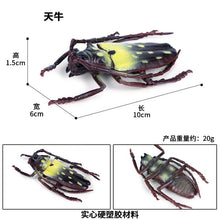 Load image into Gallery viewer, Simulated Insect Animal Figurine Model Spider Grasshopper Butterfly Snail Action Figure Scene Decoration Kids Collect Toys Gifts