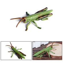 Load image into Gallery viewer, Simulated Insect Animal Figurine Model Spider Grasshopper Butterfly Snail Action Figure Scene Decoration Kids Collect Toys Gifts