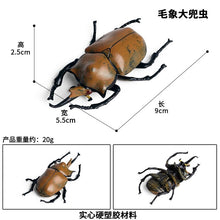 Load image into Gallery viewer, Simulated Insect Animal Figurine Model Spider Grasshopper Butterfly Snail Action Figure Scene Decoration Kids Collect Toys Gifts