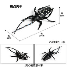 Load image into Gallery viewer, Simulated Insect Animal Figurine Model Spider Grasshopper Butterfly Snail Action Figure Scene Decoration Kids Collect Toys Gifts