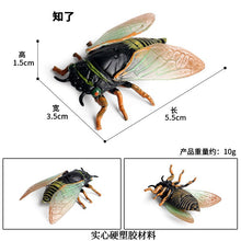 Load image into Gallery viewer, Simulated Insect Animal Figurine Model Spider Grasshopper Butterfly Snail Action Figure Scene Decoration Kids Collect Toys Gifts