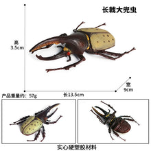 Load image into Gallery viewer, Simulated Insect Animal Figurine Model Spider Grasshopper Butterfly Snail Action Figure Scene Decoration Kids Collect Toys Gifts