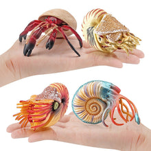 Load image into Gallery viewer, Simulation Marine Animal Model Hermit Crab Nautilus Fish Tank Ornaments Figurines Action Figures Children's Educational Toy Gift