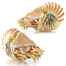 Load image into Gallery viewer, Simulation Marine Animal Model Hermit Crab Nautilus Fish Tank Ornaments Figurines Action Figures Children's Educational Toy Gift