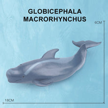 Load image into Gallery viewer, Simulation Marine Sea Life Whale Figurines Shark Cachalot Action Figures Ocean Animal Model Dolphin Hammerhead Educational Toys