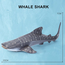 Load image into Gallery viewer, Simulation Marine Sea Life Whale Figurines Shark Cachalot Action Figures Ocean Animal Model Dolphin Hammerhead Educational Toys