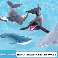 Load image into Gallery viewer, Simulation Marine Sea Life Whale Figurines Shark Cachalot Action Figures Ocean Animal Model Dolphin Hammerhead Educational Toys