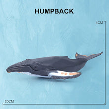 Load image into Gallery viewer, Simulation Marine Sea Life Whale Figurines Shark Cachalot Action Figures Ocean Animal Model Dolphin Hammerhead Educational Toys