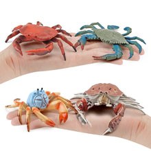 Load image into Gallery viewer, Simulation Sea Life Crab Ocean Animals Calappa lophos Model Figurines ornament PVC Action Figure children Collection Toy Gifts