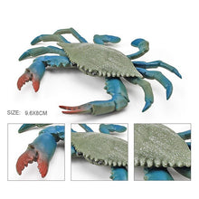 Load image into Gallery viewer, Simulation Sea Life Crab Ocean Animals Calappa lophos Model Figurines ornament PVC Action Figure children Collection Toy Gifts