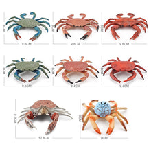 Load image into Gallery viewer, Simulation Sea Life Crab Ocean Animals Calappa lophos Model Figurines ornament PVC Action Figure children Collection Toy Gifts