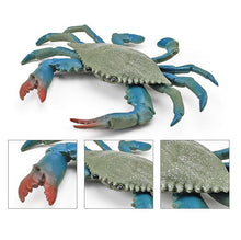 Load image into Gallery viewer, Simulation Sea Life Crab Ocean Animals Calappa lophos Model Figurines ornament PVC Action Figure children Collection Toy Gifts