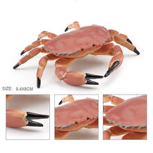 Load image into Gallery viewer, Simulation Sea Life Crab Ocean Animals Calappa lophos Model Figurines ornament PVC Action Figure children Collection Toy Gifts