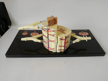 Load image into Gallery viewer, Spinal Cord Nerve Anatomical Model 5 Times Sumal Ventral Dorsal Coccygeal Root Teaching Resources