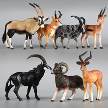 Load image into Gallery viewer, Wild Forest Animal Zoo plastic Models Simulation Antelope Gazelle Argali Model Action Figure Figurines Teaching Kids Toys