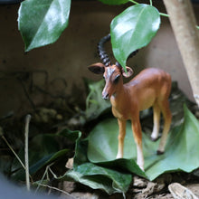 Load image into Gallery viewer, Wild Forest Animal Zoo plastic Models Simulation Antelope Gazelle Argali Model Action Figure Figurines Teaching Kids Toys