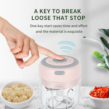 Load image into Gallery viewer, 100/250mL Mini Electric Garlic Chopper USB Charging Ginger Masher Machine Sturdy Durable Chili Vegetable Crusher Kitchen Tool