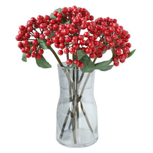 Load image into Gallery viewer, Small Sized Fruit Bunches of Fu Lu Guo Hill Fruit Decorative Floral Flower Arrangement Accessories Christmas Small Berry
