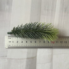 Load image into Gallery viewer, 10pcs Pine Branches Artificial Fake Plant Artificial Flower Branch Christmas Party Decoration DIY Accessories Bouquet Gift Box