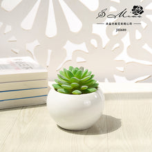 Load image into Gallery viewer, Artificial Succulent Pant Potted Plant (Pot Included) Artificial Flower Bonsai Home Decoration Artificial Plant