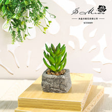 Load image into Gallery viewer, Small Stone Pot Artificial Succulent Pant Potted Plant (Pot Included) Fashion Home Decoration Simulation Plant Artificial Flowers