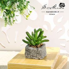 Load image into Gallery viewer, Small Stone Pot Artificial Succulent Pant Potted Plant (Pot Included) Fashion Home Decoration Simulation Plant Artificial Flowers