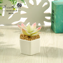 Load image into Gallery viewer, Artificial Succulent Pant Bonsai (Pot Included) Artificial Flower Creative Decoration Artificial Plant
