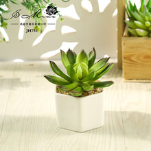 Load image into Gallery viewer, Artificial Succulent Pant Bonsai (Pot Included) Artificial Flower Creative Decoration Artificial Plant