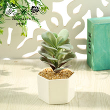 Load image into Gallery viewer, Artificial Succulent Pant Bonsai (Pot Included) Artificial Flower Creative Decoration Artificial Plant