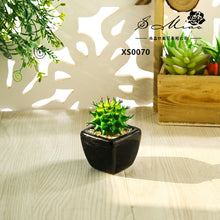 Load image into Gallery viewer, Mini Artificial Succulent Pant Bonsai (Pot Included) Creative Decoration Artificial Flower Yiwu Artificial Plant