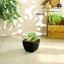 Load image into Gallery viewer, Mini Artificial Succulent Pant Bonsai (Pot Included) Creative Decoration Artificial Flower Yiwu Artificial Plant