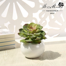 Load image into Gallery viewer, Artificial Succulent Pant Potted Plant (Pot Included) Artificial Flower Bonsai Home Decoration Artificial Plant