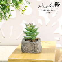 Load image into Gallery viewer, Small Stone Pot Artificial Succulent Pant Potted Plant (Pot Included) Fashion Home Decoration Simulation Plant Artificial Flowers