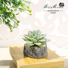 Load image into Gallery viewer, Small Stone Pot Artificial Succulent Pant Potted Plant (Pot Included) Fashion Home Decoration Simulation Plant Artificial Flowers
