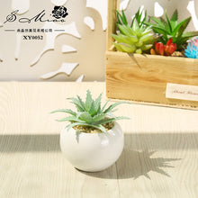 Load image into Gallery viewer, Small round Basin Mini Artificial Succulent Pant Potted Plant (Pot Included) Emulational Flower Decoration