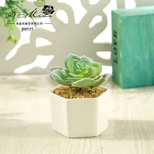 Load image into Gallery viewer, Artificial Succulent Pant Bonsai (Pot Included) Artificial Flower Creative Decoration Artificial Plant