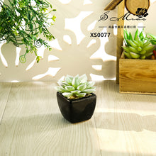 Load image into Gallery viewer, Mini Artificial Succulent Pant Bonsai (Pot Included) Creative Decoration Artificial Flower Yiwu Artificial Plant