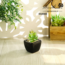 Load image into Gallery viewer, Mini Artificial Succulent Pant Bonsai (Pot Included) Creative Decoration Artificial Flower Yiwu Artificial Plant