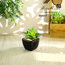 Load image into Gallery viewer, Mini Artificial Succulent Pant Bonsai (Pot Included) Creative Decoration Artificial Flower Yiwu Artificial Plant
