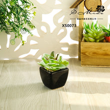 Load image into Gallery viewer, Mini Artificial Succulent Pant Bonsai (Pot Included) Creative Decoration Artificial Flower Yiwu Artificial Plant
