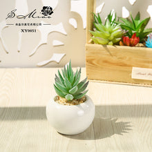 Load image into Gallery viewer, Small round Basin Mini Artificial Succulent Pant Potted Plant (Pot Included) Emulational Flower Decoration
