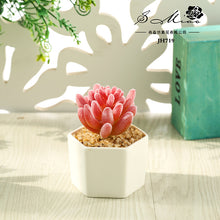 Load image into Gallery viewer, Artificial Succulent Pant Bonsai (Pot Included) Artificial Flower Creative Decoration Artificial Plant