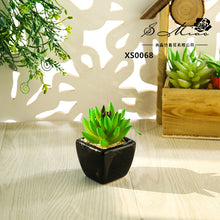 Load image into Gallery viewer, Mini Artificial Succulent Pant Bonsai (Pot Included) Creative Decoration Artificial Flower Yiwu Artificial Plant